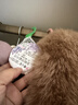 樱之花防蛀防霉网袋80g*6代替樟脑丸卫生球羊绒棉毛衣物柜芳香味驱蛀虫 实拍图