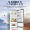 海尔（Haier）出品统帅悦享系列218L三门小冰箱家用直冷软冷冻冰箱BCD-218LLC3E0C9以旧换新 实拍图