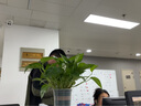 得力90*150cm双面白板 写字板支架式移动升降磁性吸附稳固会议办公家用教学儿童黑板【简书系列】 实拍图