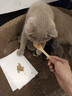 弗列加特 0乳糖鲜肉猫主食罐头 成猫鲜鸡肉味 95g*6罐 实拍图