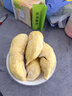 三资堂睫毛膏自然卷翘纤长定型钢管睫毛打底膏小蛮腰持妆防水增长睫毛刷 实拍图