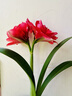 维达（Vinda）有芯卷纸 蓝色经典4层200克*10卷 厚韧大分量 卫生纸厕纸 卷筒纸 实拍图