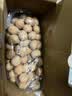 楼兰蜜语【新货】高品质阿克苏年新薄皮核桃5斤原味节日礼盒特产坚果零食 实拍图