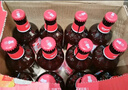 黑狮啤酒【雪花旗下高端品牌】玫瑰红覆盆子果啤 330ml*12瓶 爆款 实拍图