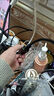 CangHua 苹果手机lightning转网口 iPhone千兆网线转换器有线网卡RJ45接口转接头iPad外连网络以太网直播 实拍图