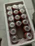 费尔德堡【官方正品】德国原装进口小麦白啤酒大麦黑啤酒原浆精酿白啤黑啤 【白啤整箱装】27年5-6月到期 500mL 18罐 实拍图