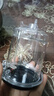 飘逸壶泡茶壶耐热高温玻璃沏茶过滤内胆冲茶器家用茶具套装 飘逸杯500mL1个 实拍图