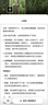 石榴树树苗突尼斯软籽石榴苗盆栽庭院果树特大带土无籽甜石榴树苗 店长推荐：突尼斯软籽石榴5年苗带土带分枝（当年结果 81cm(含)-110cm(含) 实拍图