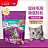伟嘉猫粮成猫 金装升级营养加油站2kg海洋鱼 名目靓毛夹心粮蓝猫英短 实拍图