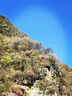 飞利浦（PHILIPS）泡脚桶躺泡免洗电动按摩足浴盆UV杀菌小白桶智能恒温加热软胶泡脚盆3222F 母亲节礼物实用生日礼物 实拍图