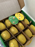 佳沛（zespri）新西兰 阳光金奇异果12粒特大果单果124-146g 猕猴桃水果礼盒 实拍图