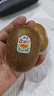 佳沛（zespri）新西兰 阳光金奇异果12粒特大果单果124-146g 猕猴桃水果礼盒 实拍图