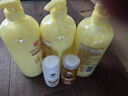 蜂花护发素套装柔顺营养小麦蛋白1L*3+生姜健发洗护100mlx2 实拍图