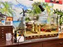 森森鱼缸石英加热棒200W款适用30-60L自动恒温水族箱加热器离水断电 实拍图