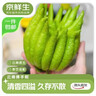 有棵树【肌理短筒】袜子男夏季纯棉10A抗菌吸汗透气防臭抗起球休闲短袜 实拍图