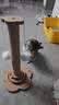 皇佳宠猫抓柱猫抓板耐磨剑麻猫咪爪小猫玩具逗猫转盘自嗨解闷猫爬架一体 实拍图
