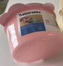 特百惠（Tupperware）微波460ml水晶汤碗可加热学生上班族便携野餐露营饭盒单个 糖果粉 实拍图