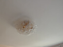 米家小米智能八电极体脂秤S800 体重管理家用体重秤电子秤双频精准检测 蓝牙连接/支持安卓&iOS/双接 实拍图
