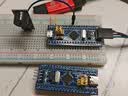 ZAVEB站同款 STM32开发板入门套件 STM32f103c8t6单片机 stm32最小系统板电子面包板学习套件 科协江科大 实拍图