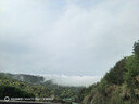 车丽友 定制汽车脚垫主驾驶单片丝圈专用于途观L迈腾帕萨特朗逸plus速腾 实拍图