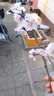 水星家纺枕头枕芯酒店枕头护颈枕头芯家用一对纯棉抗菌可机洗高枕48x74cm 实拍图