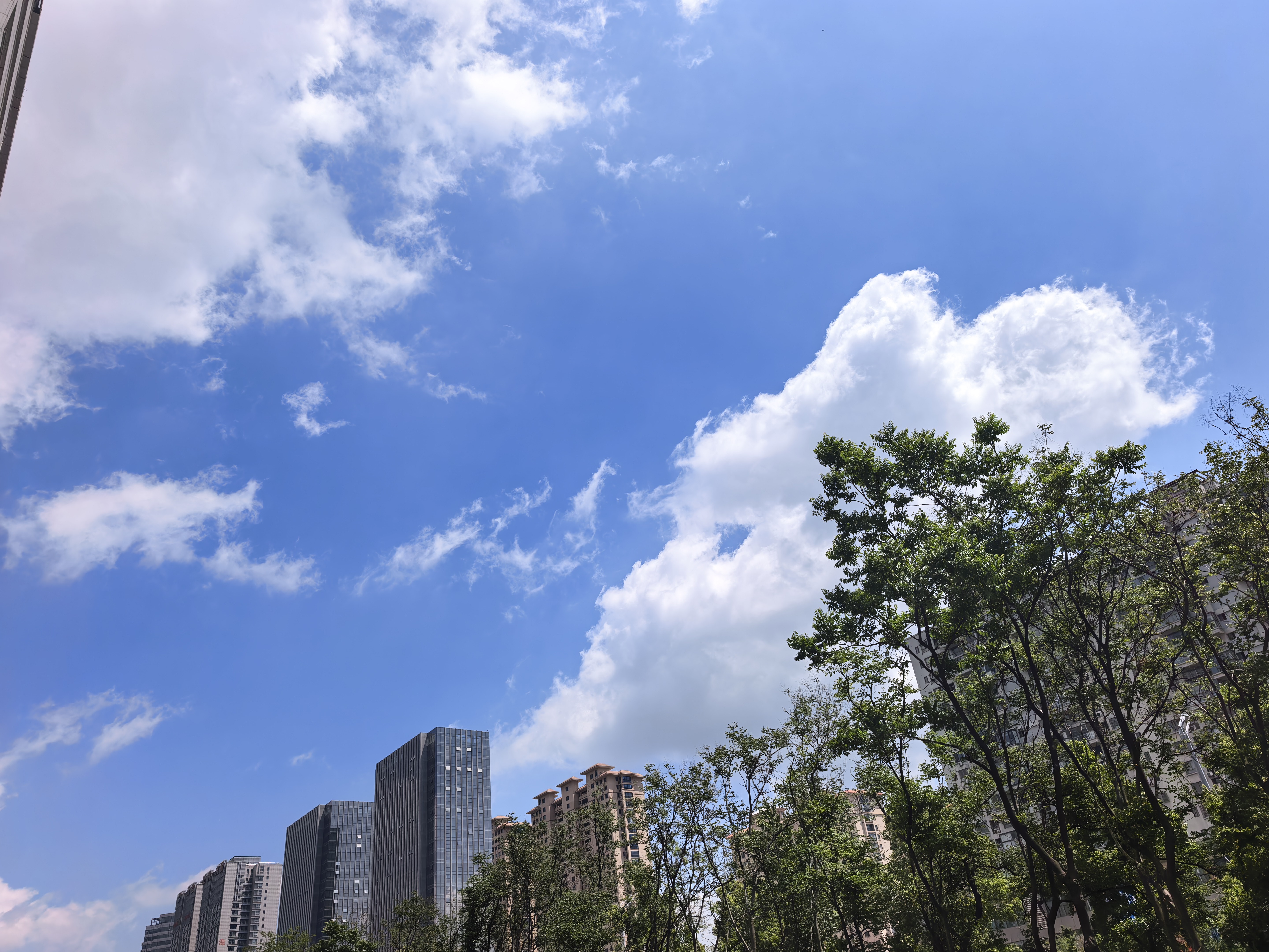 四万公里应急尿袋 一次性小便器尿壶男女通用车载马桶便携接尿神器SW7317 实拍图