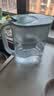 膳魔师 净水壶 滤水壶 过滤水壶 家用过滤器 净水器  4.5L大容量 自来水过滤器 滤水器 过滤壶 1壶7芯装 森养绿1壶7芯 实拍图
