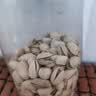 三只松鼠开心果250g/袋 无漂白每日坚果炒货休闲零食地方特产 实拍图