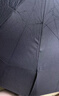 京东京造黑武士pro全自动雨伞自动折叠伞便携遮阳男士晴雨两用10骨 实拍图
