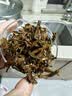 桐木关京东自营正山小种红茶正宗武夷山茶叶正山幽兰自己喝150g 实拍图