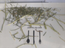 喜帅美国进口提摩西草 兔子牧草干草饲料龙猫豚鼠粮草磨牙零食500g 实拍图