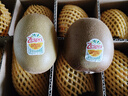 佳沛（zespri）新西兰阳光金果10个装单果重约103-114g 水果礼盒 猕猴桃 实拍图