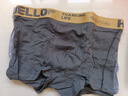 真维斯（Jeanswest）男士内裤纯棉平角裤大码四角4条 实拍图