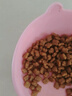 皇家幼猫奶糕 幼猫猫粮 BK34 通用粮 1-4月 2KG 实拍图