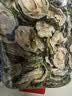 南同四海南京同仁堂苦瓜片200g搭血苦瓜茶苦瓜泡水苦瓜干鲜甜糖压苦瓜粉 实拍图