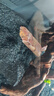 HANYANG黑金沙水草鱼缸底砂雨淋化妆黑色造景细沙免洗龟缸水族养鱼2kg 实拍图