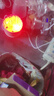 【新人专享1分】爆款北极光投影灯台灯星空灯卧室浪漫情调房间极光氛围暖光灯睡眠礼物卧室投影灯 【16色炫彩升级】极光投影灯/可遥控（无星星月亮） 实拍图