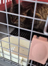 獒少保【带挂碗+垫板】宠物航空箱大号狗猫托运箱猫咪狗狗航空箱运输箱 一号PLUS 建议18斤以内 实拍图
