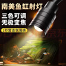 坤宁王鱼缸灯led灯南美鱼缸专用射灯溪流造景水草灯小型照明灯3色变焦3w 实拍图