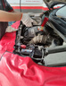 壳牌（Shell）都市光影单次小保养卡 5W-30 SP 5L含机油+机滤+工时 汽车保养 实拍图