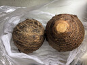 京鲜生云南牛奶小芋头净重3斤单果100g+粉糯奶香现挖新鲜蔬菜源头直发 实拍图