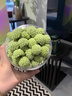 南同九坊南京同仁堂 西藏绿萝花茶100g 实拍图