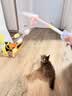 京东京造 浓汤红肉猫罐头金枪鱼混合味85克*24罐 猫零食湿粮补水鱼肉罐 实拍图