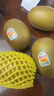 佳沛（zespri）新西兰 阳光金奇异果12粒特大果单果124-146g 猕猴桃水果礼盒 实拍图