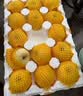 京鲜生山东烟台维纳斯黄金苹果4.5斤装140g+ 应季水果 源头直发包邮 实拍图