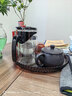 飘逸壶泡茶壶耐热高温玻璃沏茶过滤内胆冲茶器家用茶具套装 飘逸杯500mL1个 实拍图