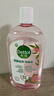 滴露（Dettol）衣物消毒液自然香氛洗衣除菌液 除螨除异味去汗臭48H留香1000ml*1 实拍图