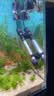 森森鱼缸水族箱加热棒自动恒温防爆乌龟缸加温棒小型鱼缸加热器200W 实拍图