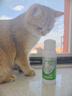 修灭盾喷剂宠物驱虫喷雾猫咪狗狗驱虫去跳蚤虱子蜱虫专用户外驱蚊喷雾 实拍图