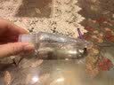 秝客免洗洗手液66ml消毒凝胶0酒精温和消毒液飞机便携旅行装儿童速干 实拍图